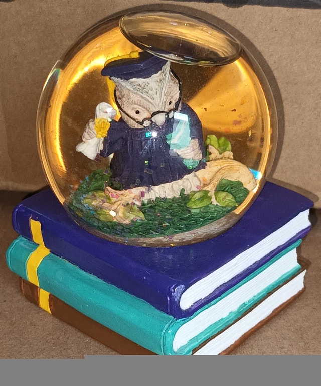 San Francisco Musical Box Owl Graduation Diploma Snow Globe - photo 2