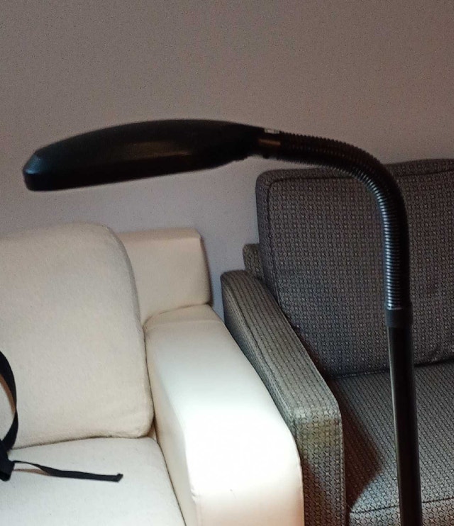 Floor Lamp