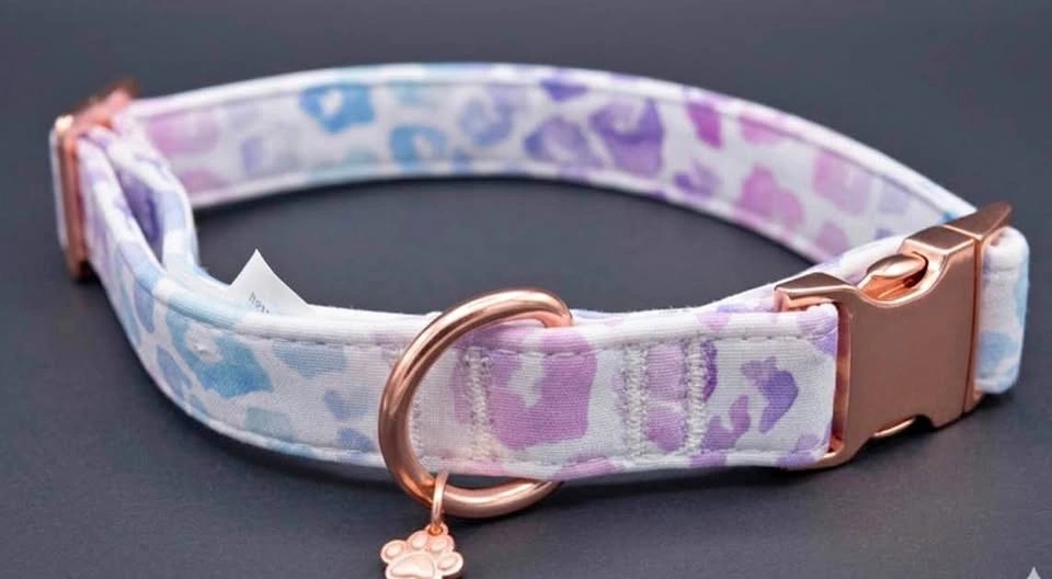 BRAND NEW! Large Comfort Collar