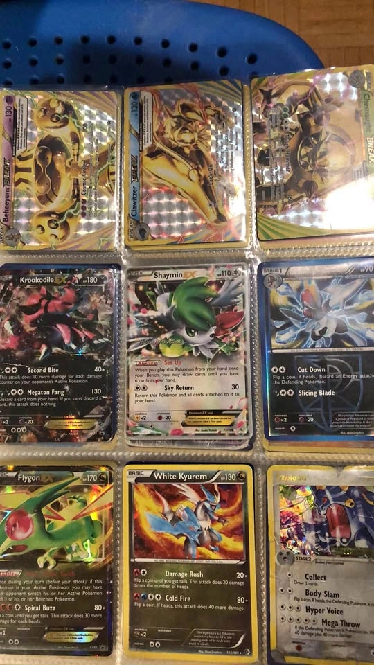 Old Pokémon Binder