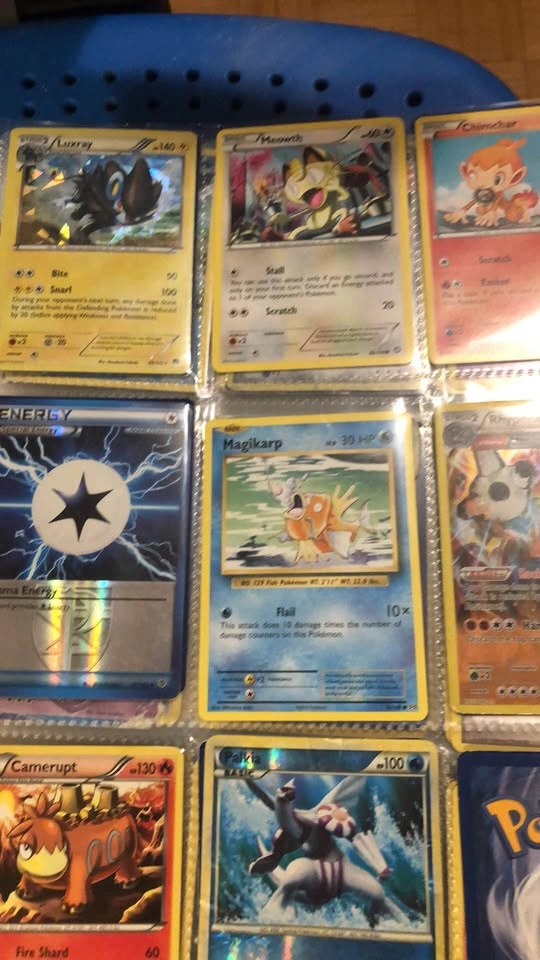 Old Pokémon Binder - photo 5
