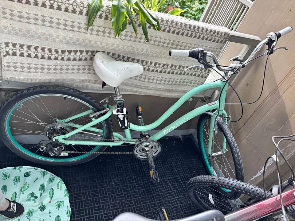 Mint Green Townie Bike