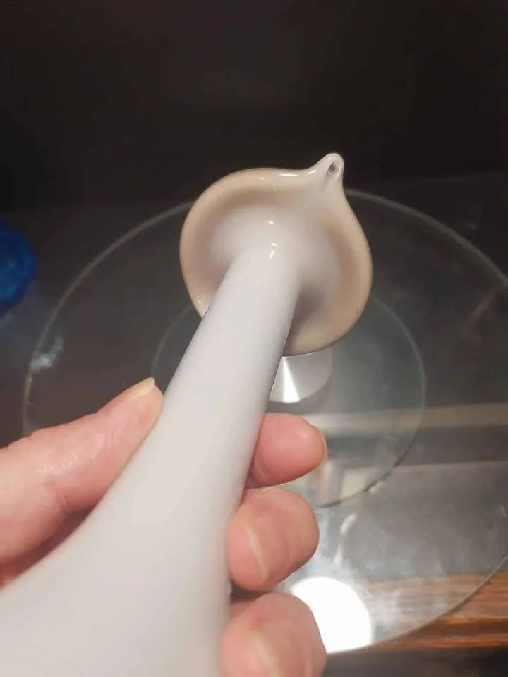 Jack in pulpit art case glass vase image indicator(8)