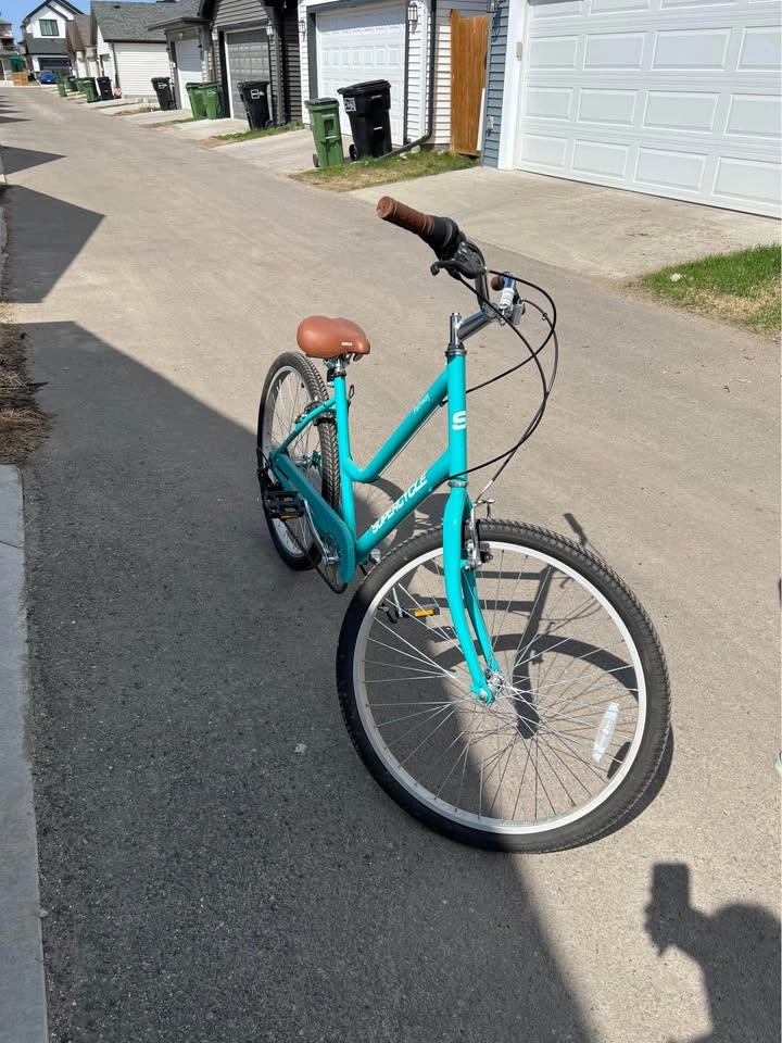 Supercycle Cruiser Bike - photo 2