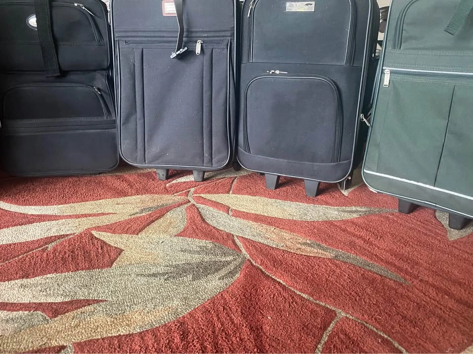 Carry-on Suitcase/luggage $35 ea - photo 4