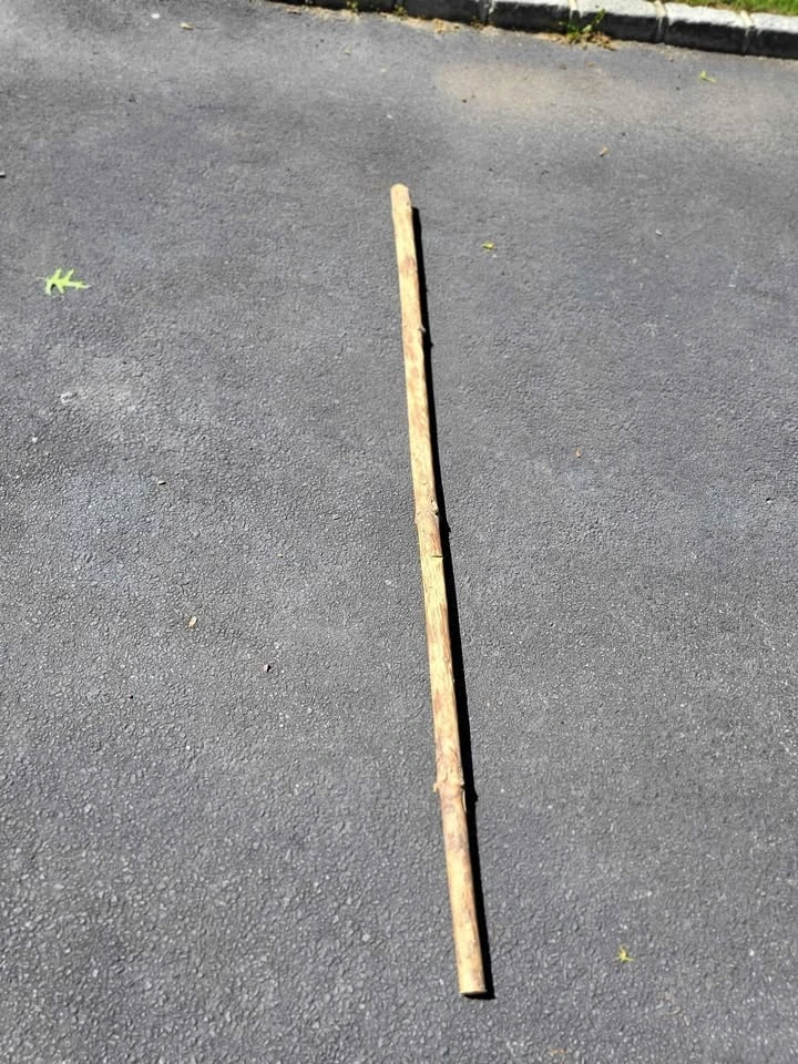 Poplar Walking Stick