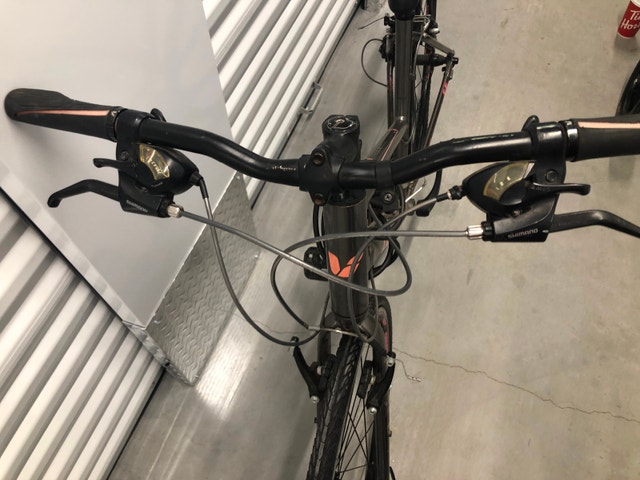 Liv Women's Sport Bike