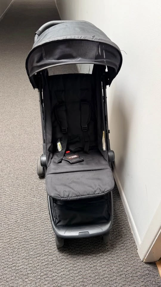 Mountain Buggy Stroller - photo 2