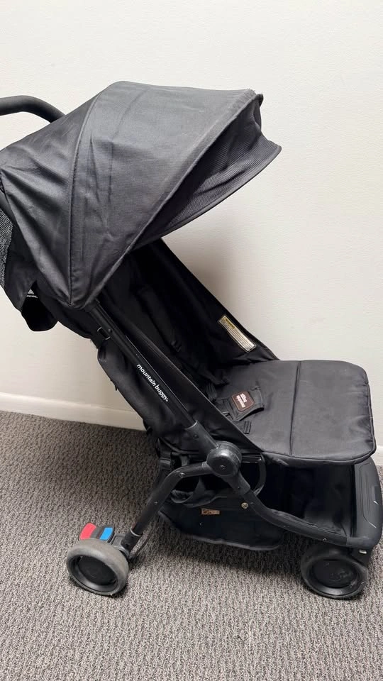 Mountain Buggy Stroller - photo 4