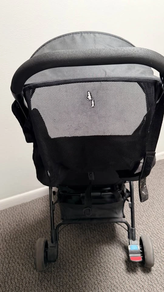 Mountain Buggy Stroller - photo 5
