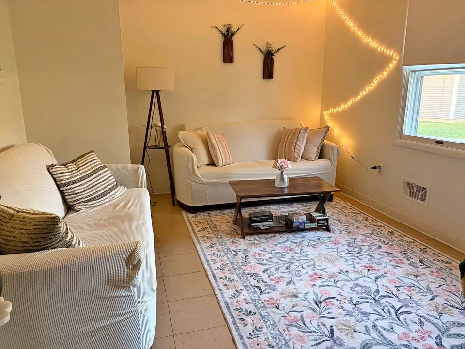Area pattern Rug
