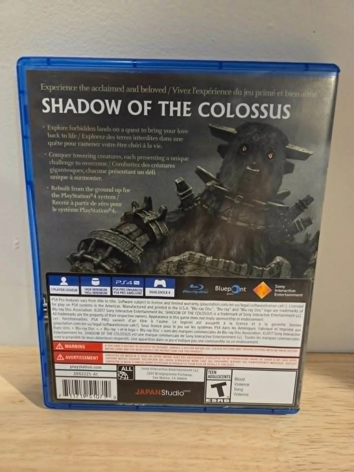 Shadow of the Colossus - PS4 - photo 2