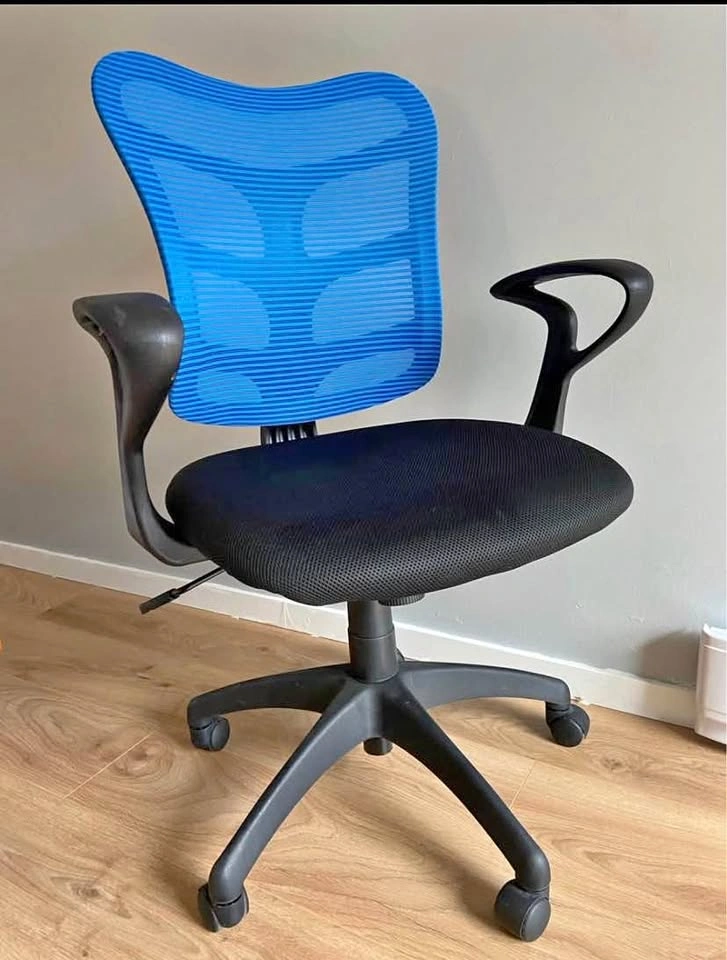Ergonomic Office Chair