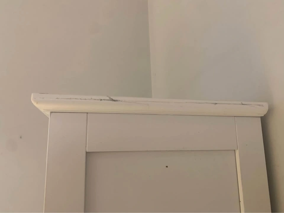 Pantry Cabinet - photo 5