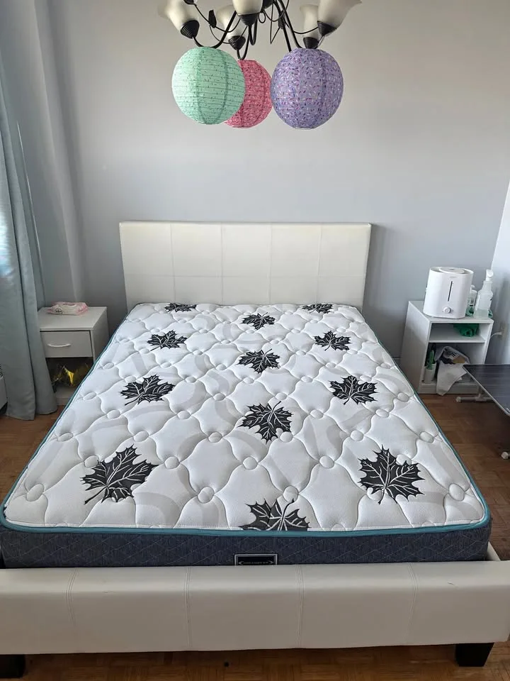 Queen Bed + Custom Comfort Mattress