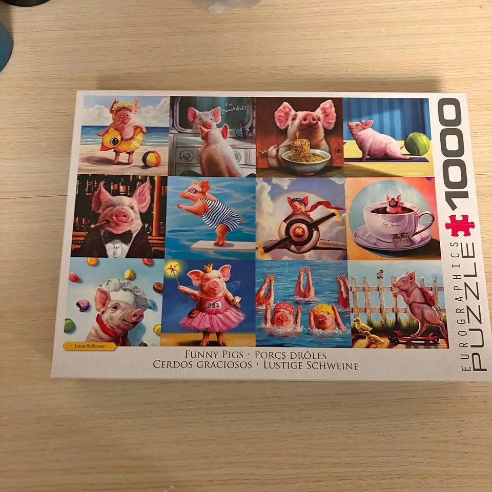 1000 Piece Puzzle