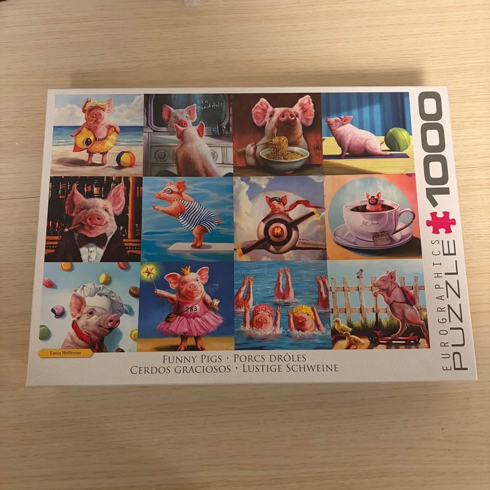 1000 Piece Puzzle - photo 2