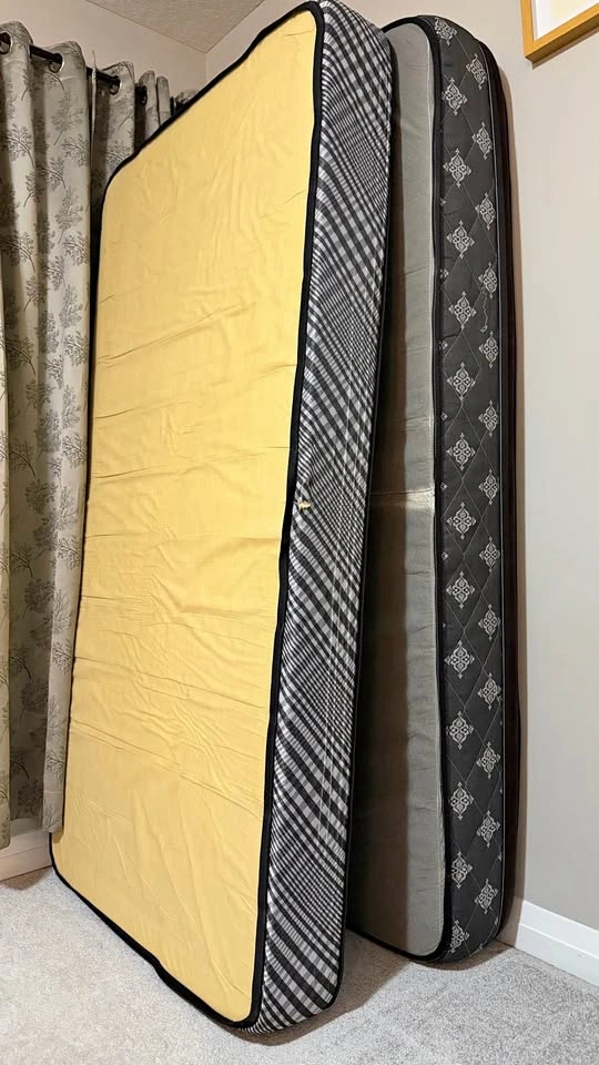 2 Organic Cotton Twin Mattresses