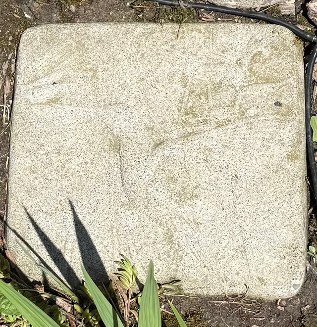 Hummingbird thick Patio Stone