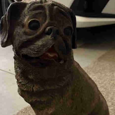 Pug Cement Statue