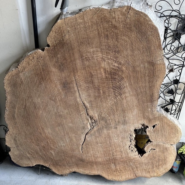 Tree Slab - Rustic Natural Edge Wood for Furniture/Decor