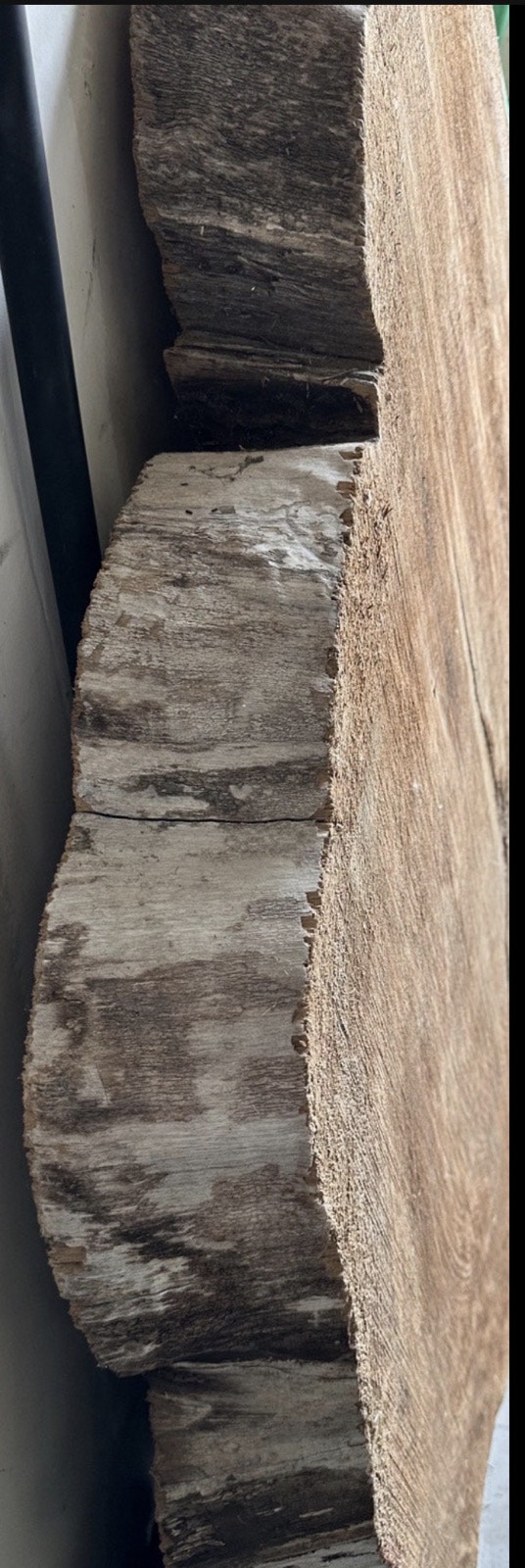 Tree Slab - Rustic Natural Edge Wood for Furniture/Decor - photo 2
