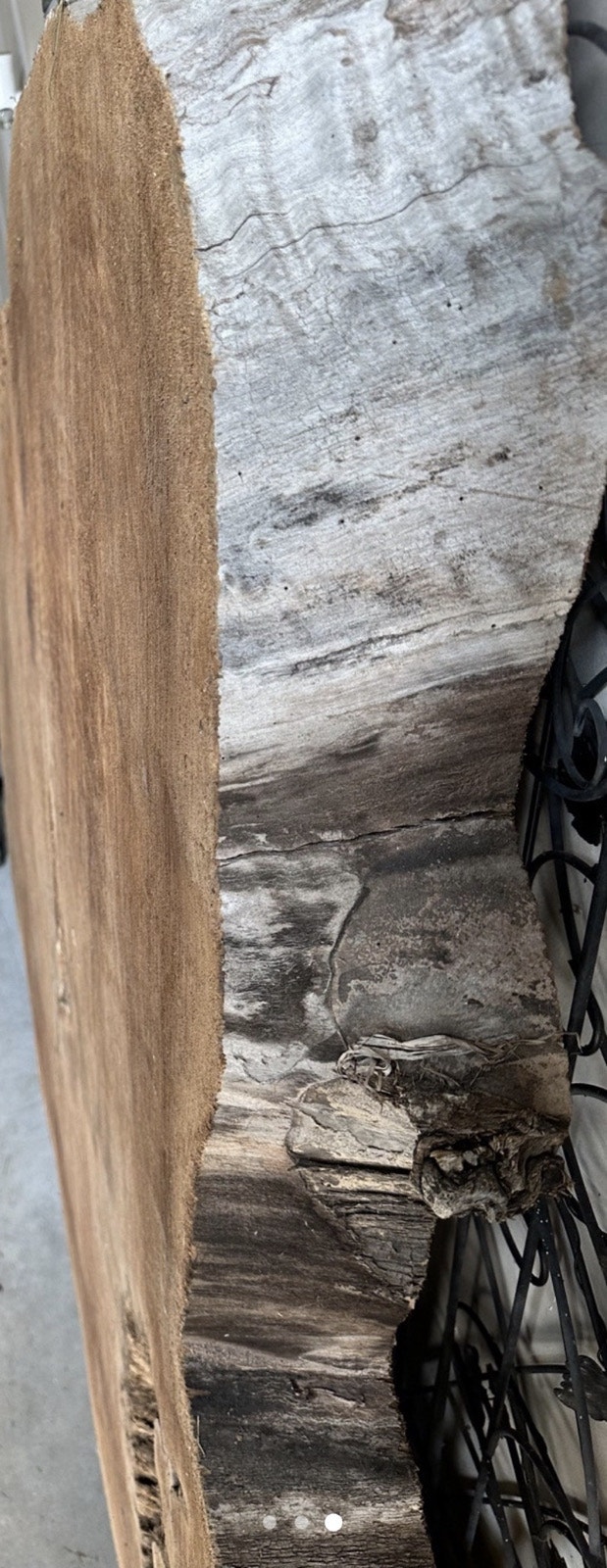 Tree Slab - Rustic Natural Edge Wood for Furniture/Decor - photo 3