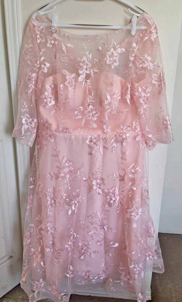 New With Tags Blush Pink Embroidered Formal Dress - size 16