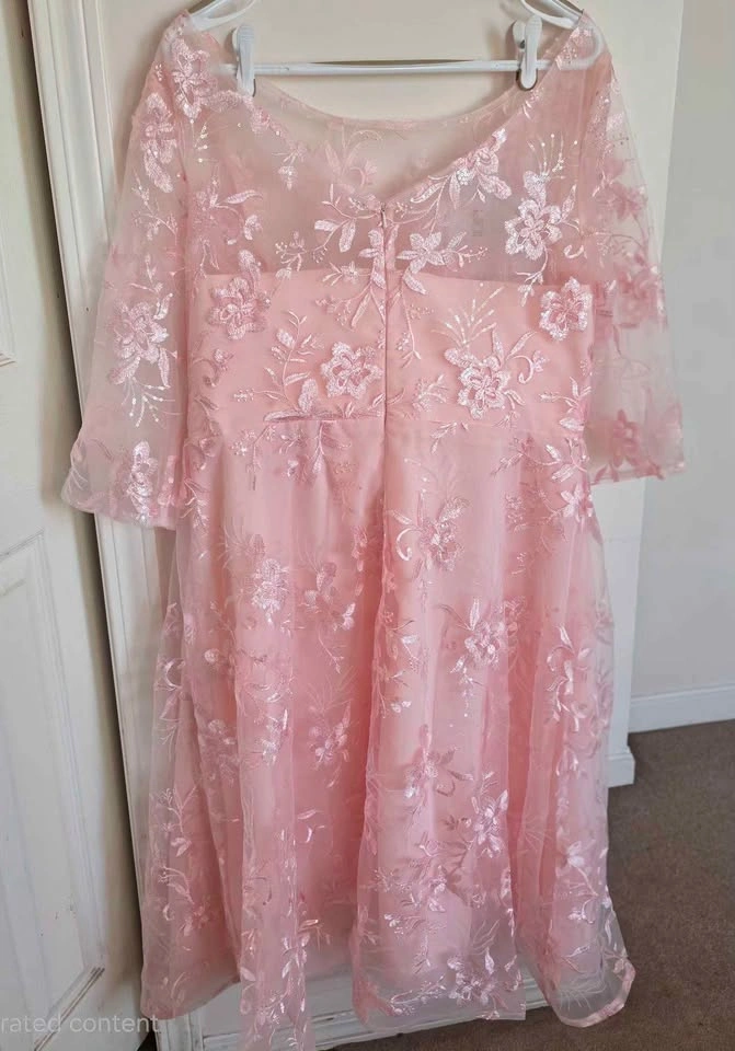 New With Tags Blush Pink Embroidered Formal Dress - size 16 - photo 2