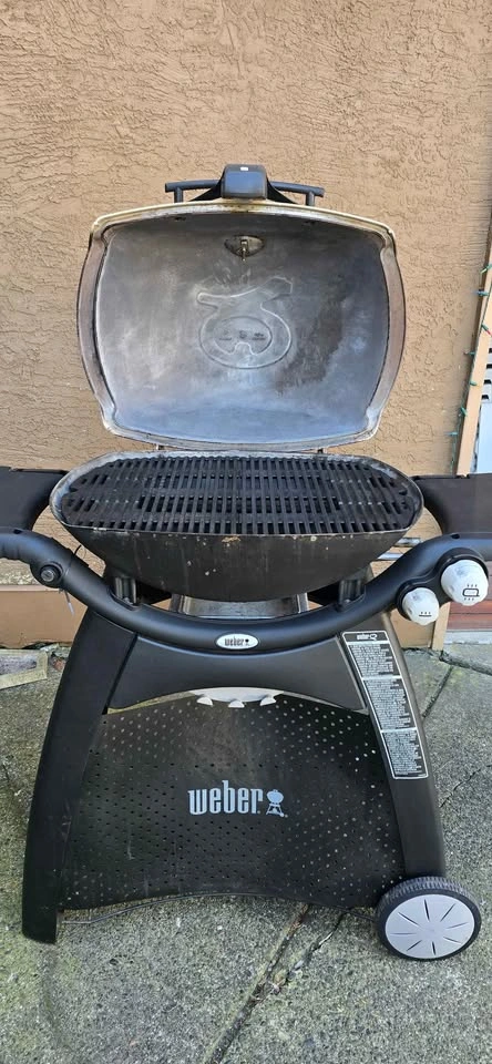 Weber Q3200 - photo 2