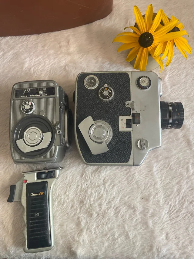 Vintage Camera Recording Collection - Polaroid Kodak Yashica image indicator(5)