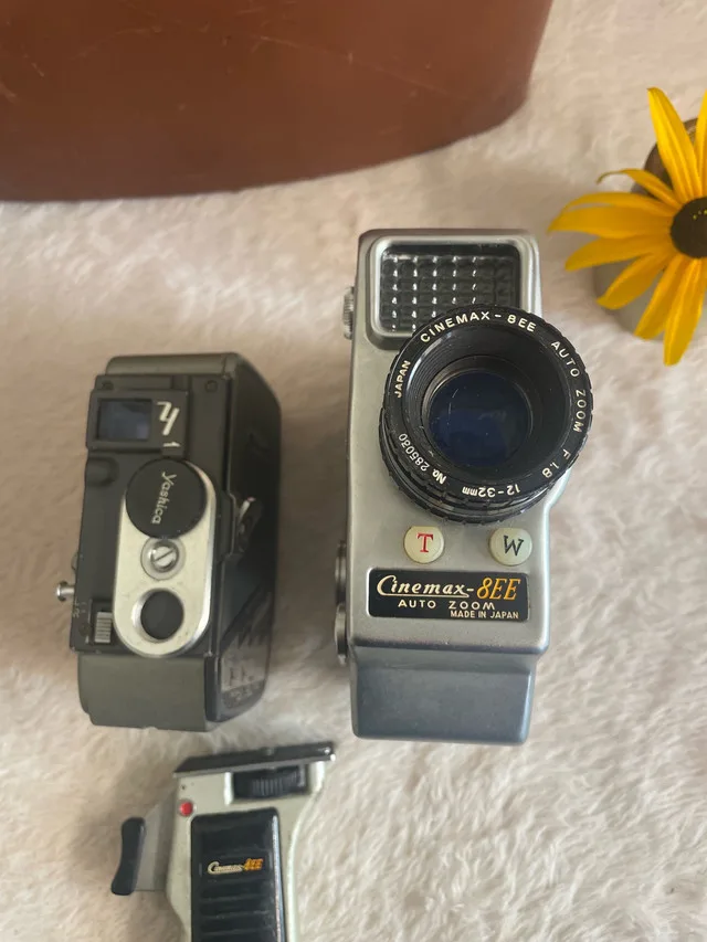 Vintage Camera Recording Collection - Polaroid Kodak Yashica image indicator(6)