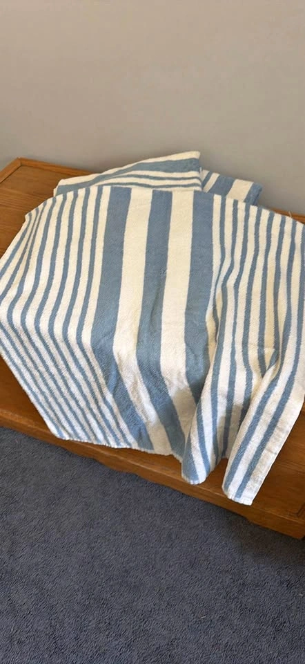 Set of 4 Blue and White Striped Towels