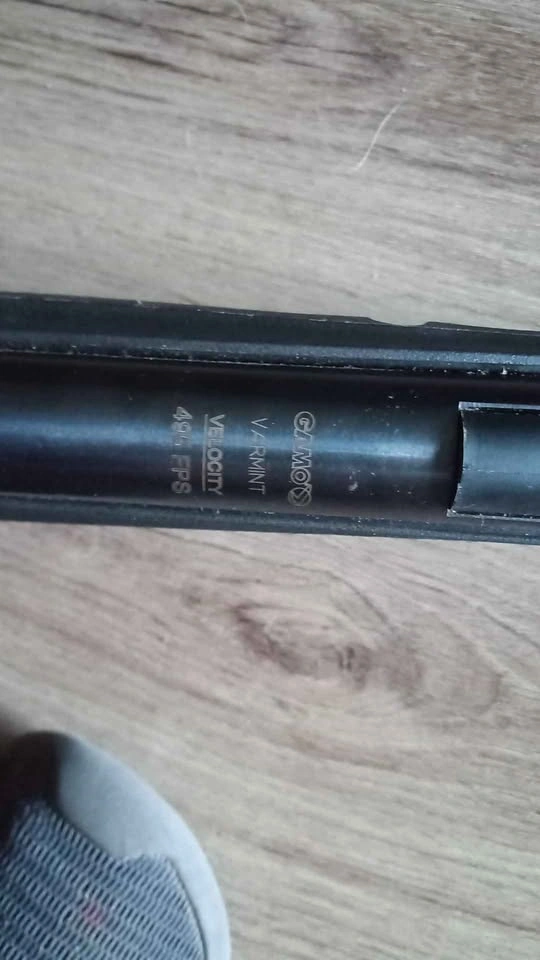 Pellet Gun - photo 2