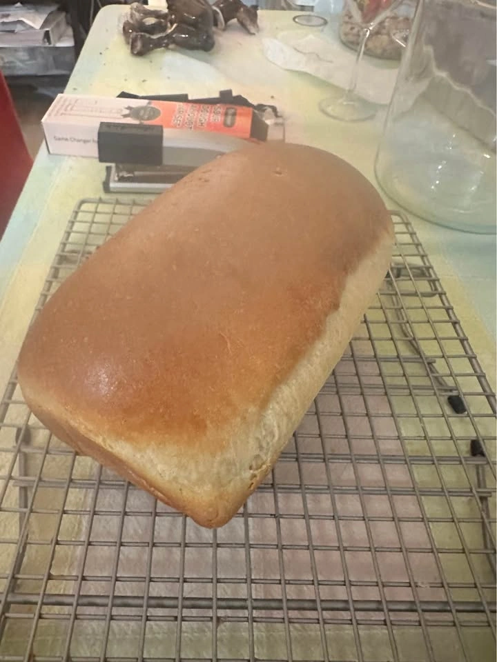 Sourdough & Canning - photo 2