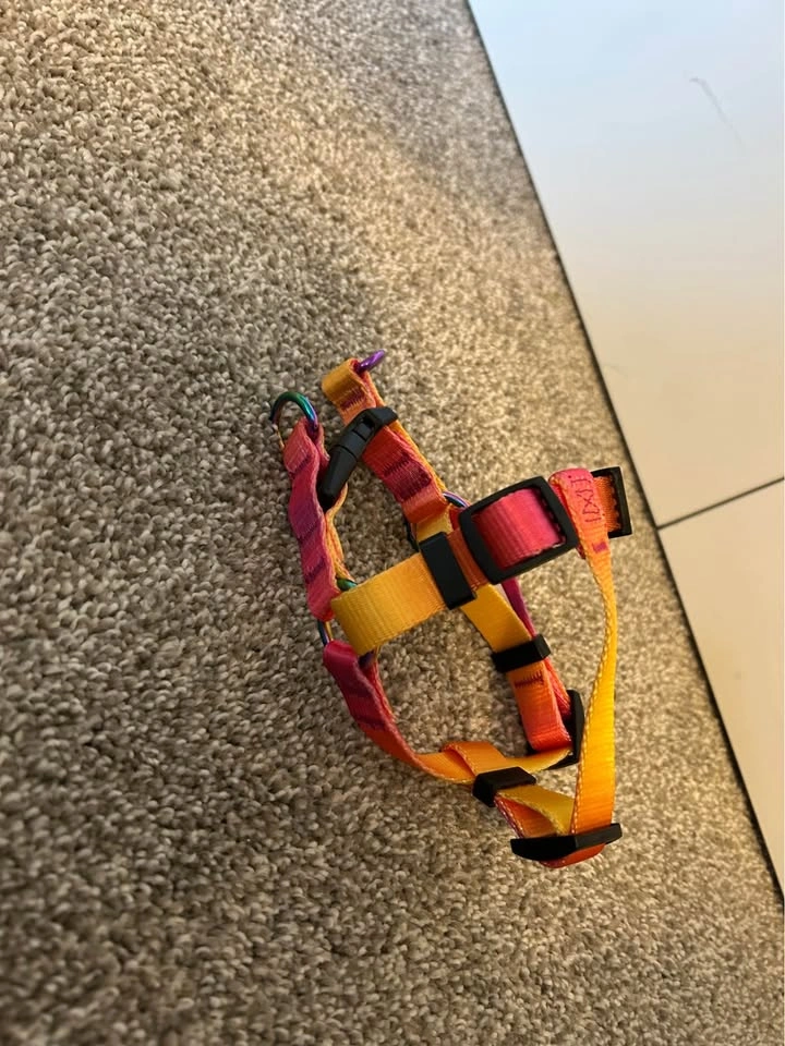 Colorful dog harness - photo 2