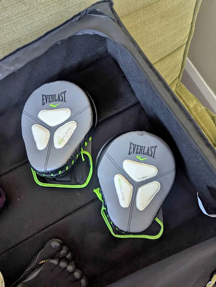 Everlast Boxing Pads