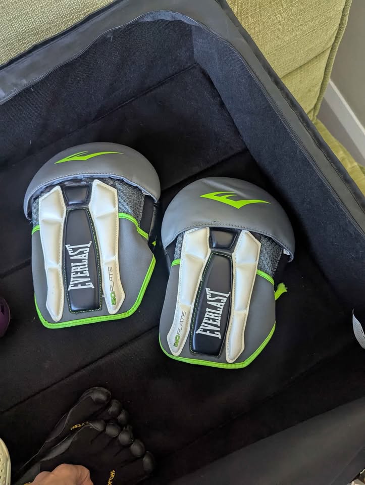 Everlast Boxing Pads - photo 2