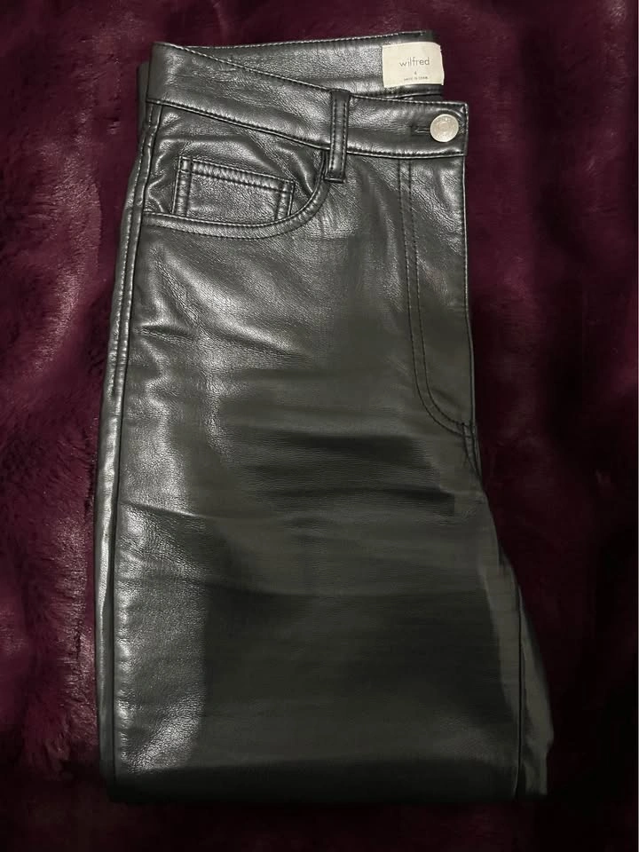 Aritzia Melina Pants - photo 3