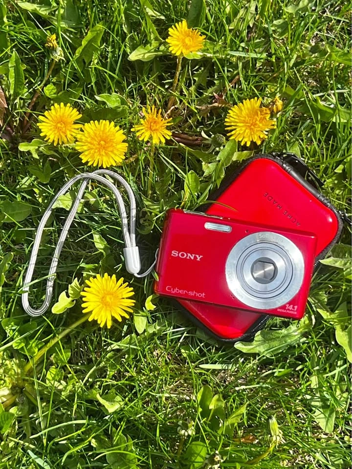 📸Sony CyberShot digicam!!