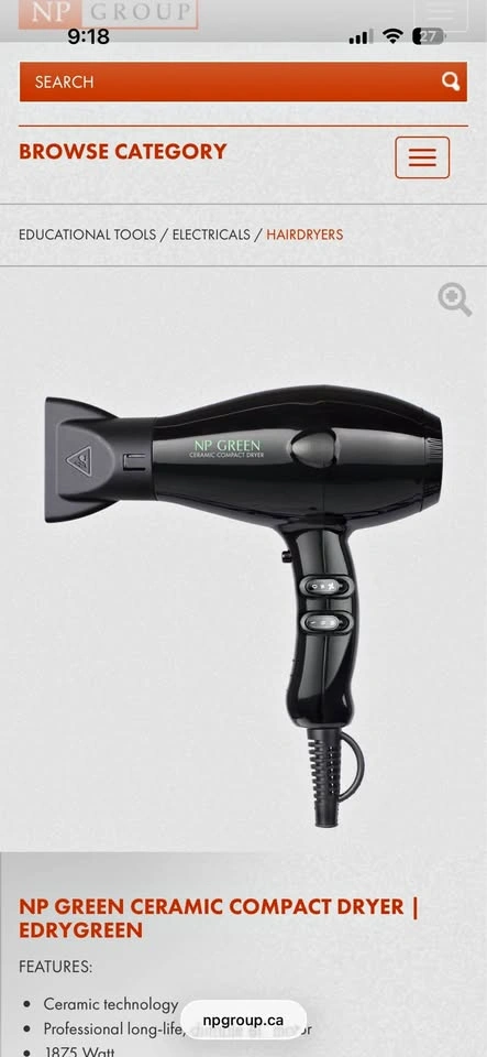NP Green Professionals Hair Dryer