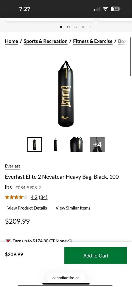 Punching bag