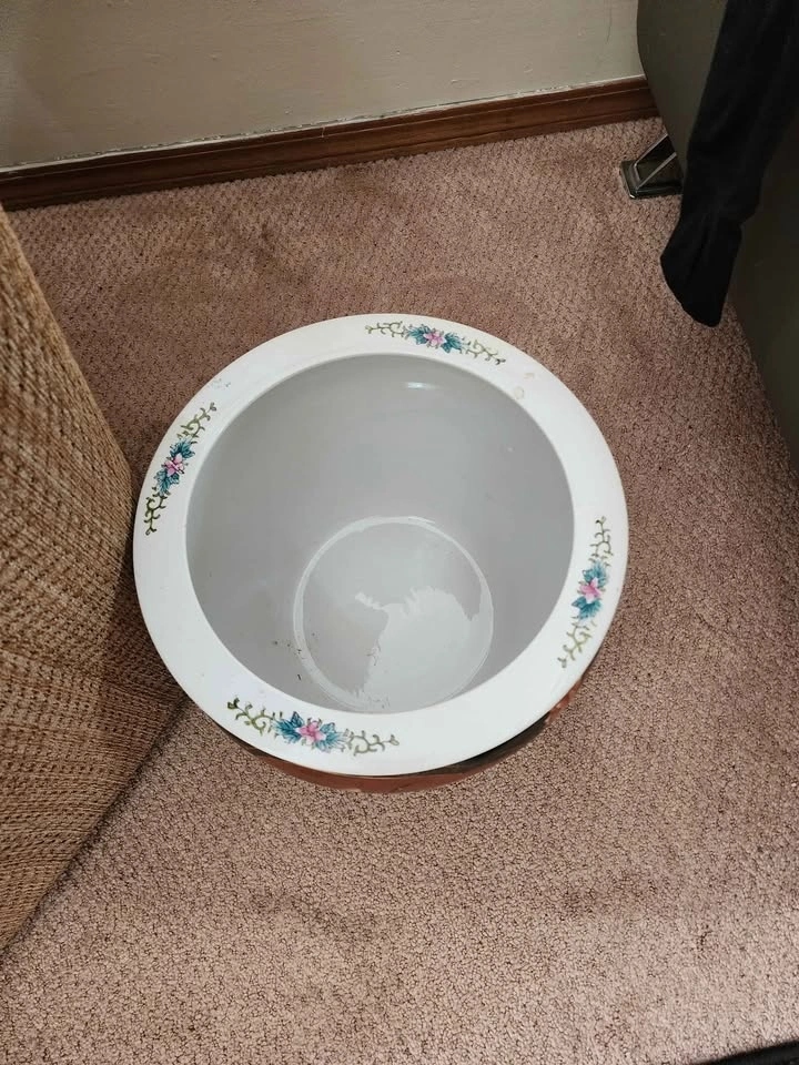 Vintage Chinese Porcelain Fish Bowl Planter - photo 3