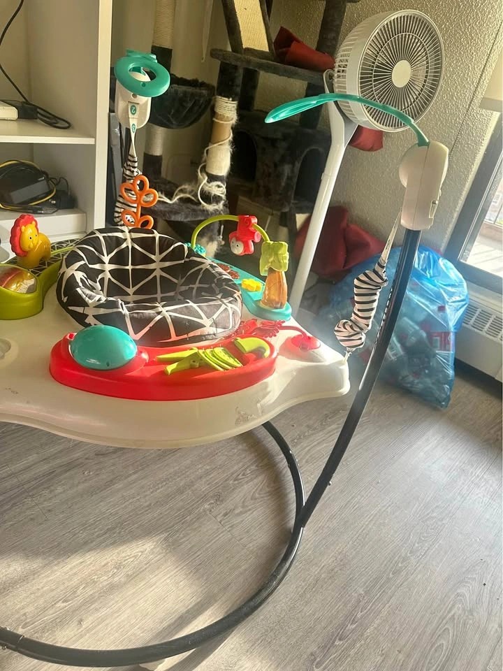 Fisher Price Baby Bouncer