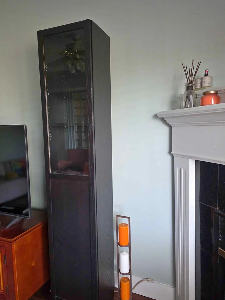 Black Display Cabinet with Glass Door