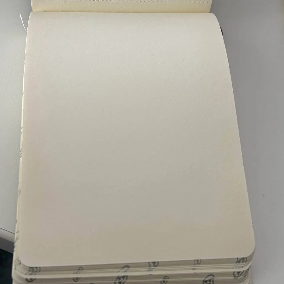 TIME WALKER Reporter Notebook leather cover - photo 4