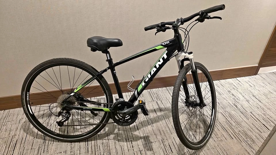 Giant Roam 2 Hybrid Bike - Small