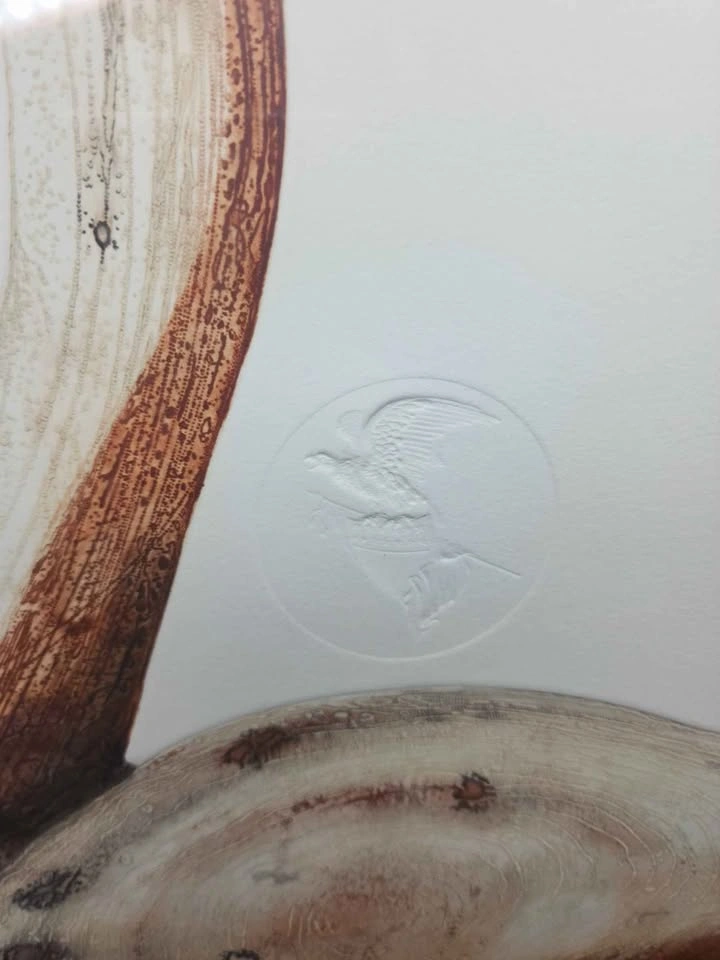 Ethan Allen Lawrence Snyder "Whistling Swan Decoy" Print #143/25 - photo 5