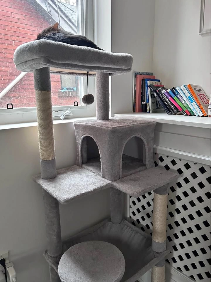 Cat Tree Light Gray w/ Condo Hammock Scratching Posts