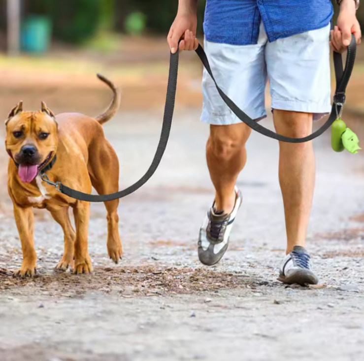 Reflective Dog Leash Adjustable Nylon Walking Lead - photo 2
